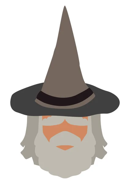 Flat Design Elder Wizard Bushy Eyebrows Gray Hair Pointy Hat — Stock Vector