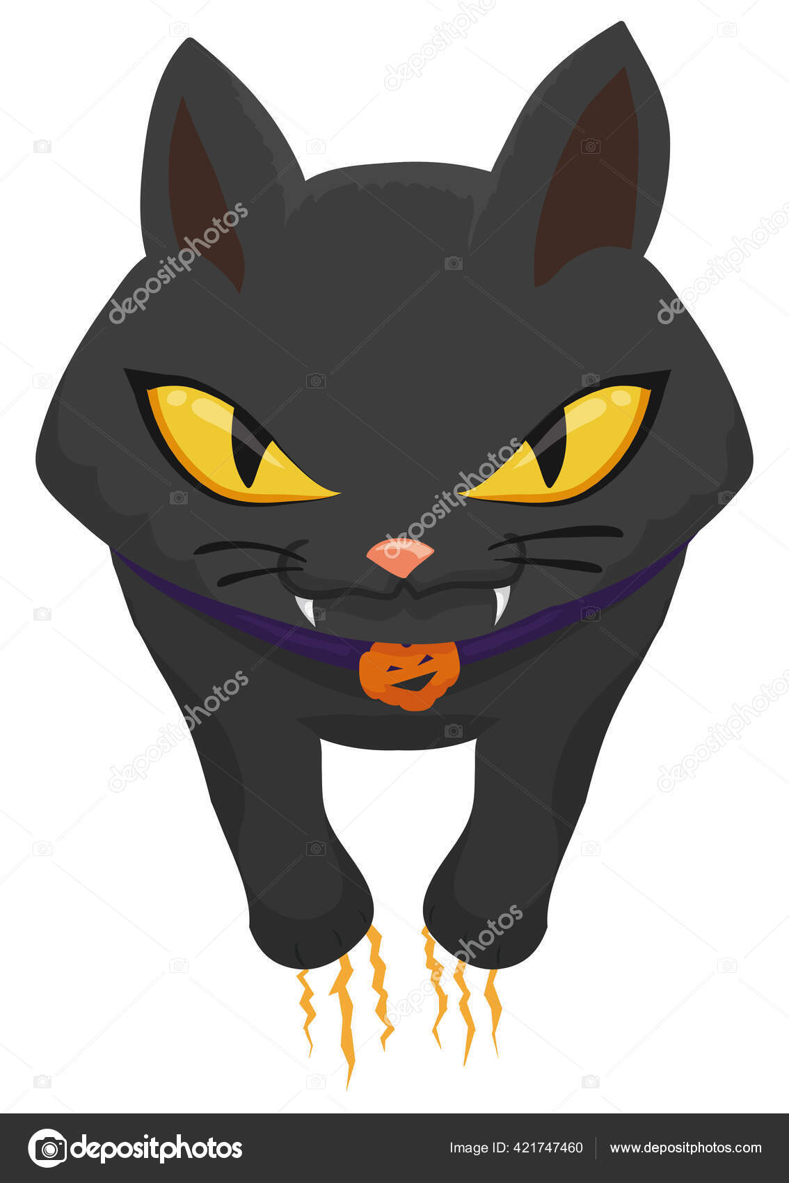 Black Cat Purple Collar Pumpkin Medallion Furious Attitude Scratching