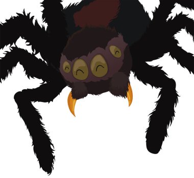 Kıllı örümcek mutlu bir jest yapıyor, yukarıdan avını bekliyor, beyaz arka planda izole edilmiş..