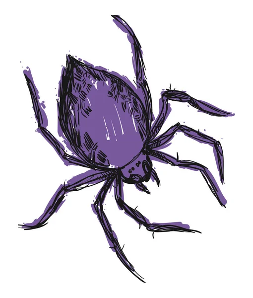 Spider Handritad Stil Målad Med Lila Penseldrag — Stock vektor