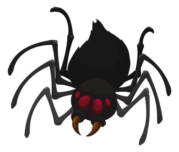 Araña Negra Aislada Con Abdomen Peludo Ocho Patas Cuatro Ojos — Vector de stock