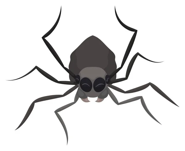 Isolated Gray Happy Spider Closed Eyes Celebrating White Background — Stock Vector