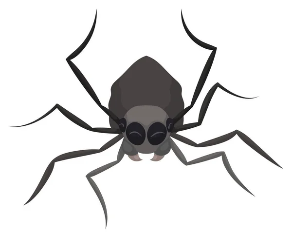 Araña Gris Aislada Feliz Con Los Ojos Cerrados Celebrando Sobre — Vector de stock