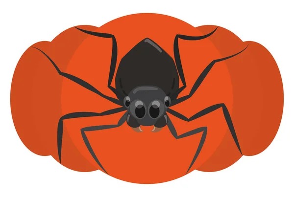 Citrouille Halloween Isolée Avec Araignée Sombre Plat Contours Style — Image vectorielle