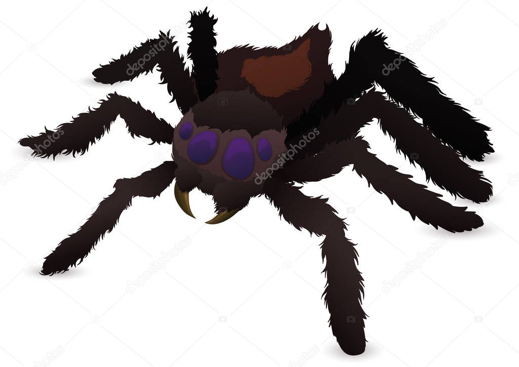 Furry giant spider with big eyes and fangs, isolated over white background.