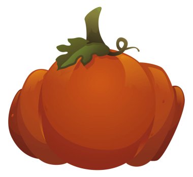 Büyük ve sulu kabak saplı ve sarmaşıklı, beyaz arka planda izole edilmiş..