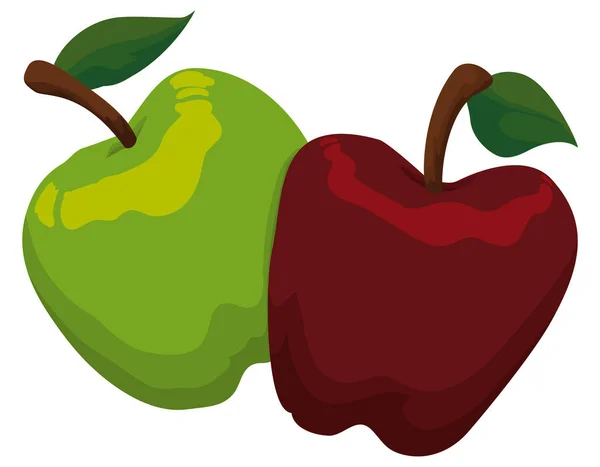 Pommes Rouges Vertes Avec Pédoncule Feuilles Isolées Sur Fond Blanc — Image vectorielle