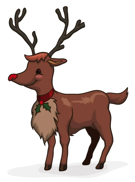 快乐的驯鹿 红鼻子和领子装饰着寄生趾等待圣诞节 隔离在白色的背景下 — 图库矢量图片