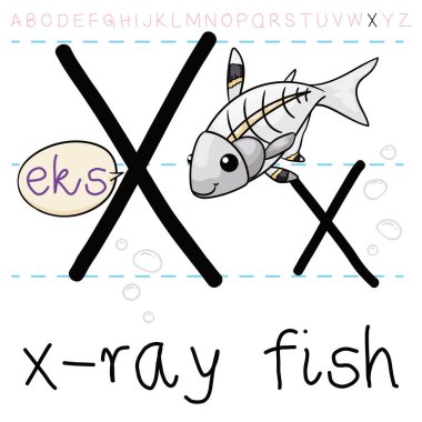 X harfleri arasında yüzen yarı saydam x-ray balığı, bu harfi ve alfabedeki yerini nasıl telaffuz edeceğini öğretiyor..