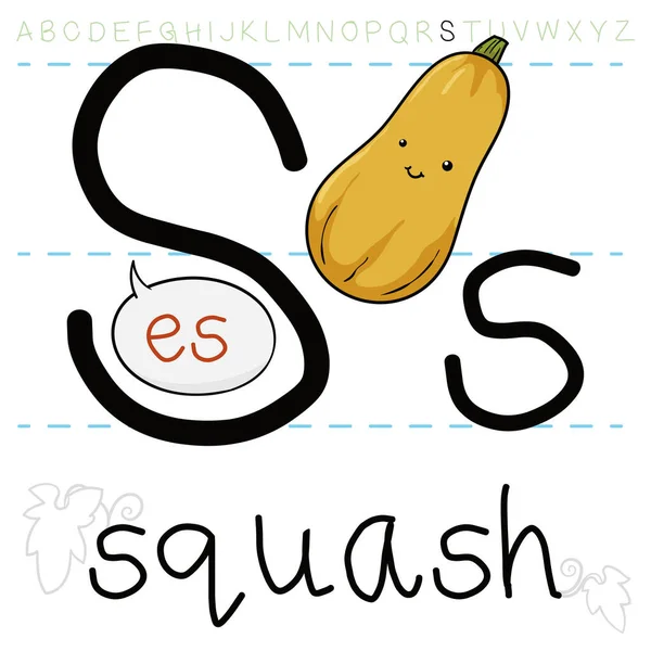 Fresh Cute Yellow Summer Squash Promoting English Αλφάβητο Learning Teaching — Διανυσματικό Αρχείο