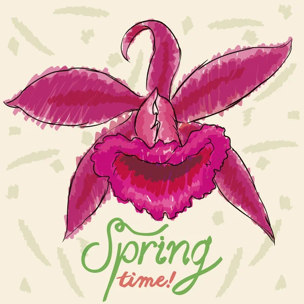 Цветные орхидеи с маркерами в стиле эскиза для весны, векторная иллюстрация — стоковый вектор