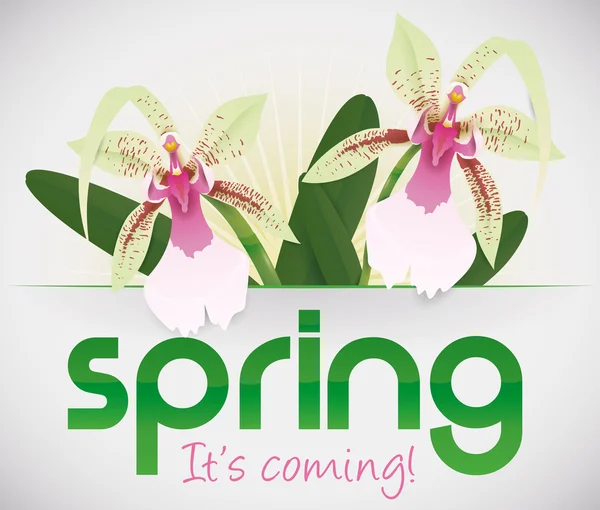 La primavera viene y las orquídeas están floreciendo, ilustración vectorial — Vector de stock