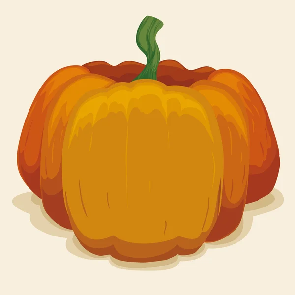Big Pumpkin Isolated, Vector Illustration — Stock Vector