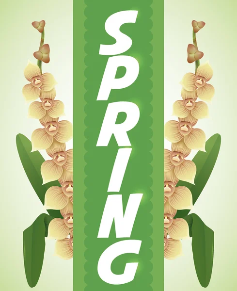 Cinta verde con ramas de orquídea de belleza para primavera, ilustración vectorial — Vector de stock