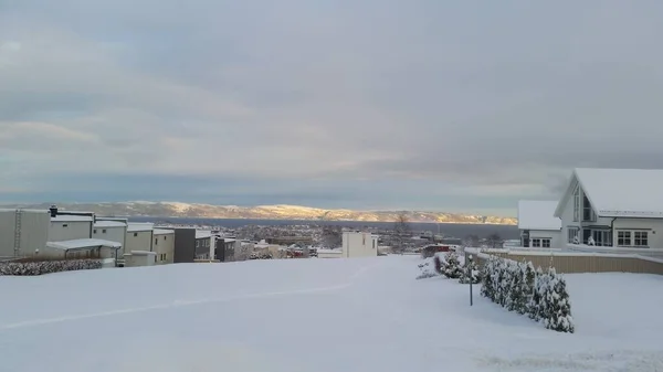 Utsikt Från Bergstoppen Med Utsikt Över Trondheim Och Fjord — Stockfoto