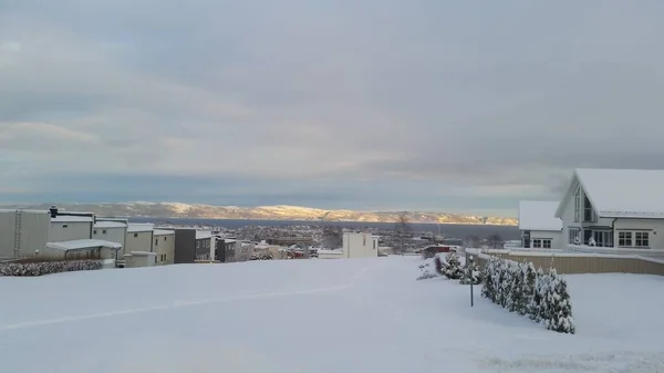 Vista Desde Cima Colina Con Vistas Trondheim Fiordo — Foto de Stock