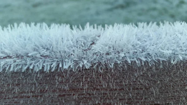 Frost Fence Winter — Stock Photo, Image