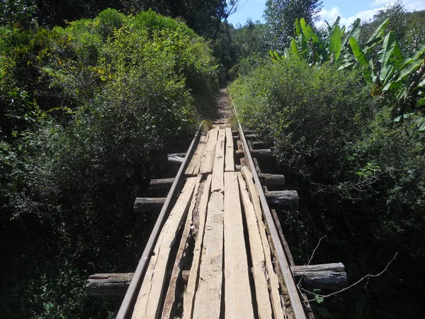 マダガスカルのジャングルの中を歩く橋 — ストック写真