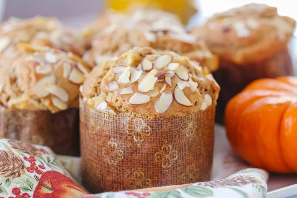 Apfel-Kürbismuffins — Stockfoto