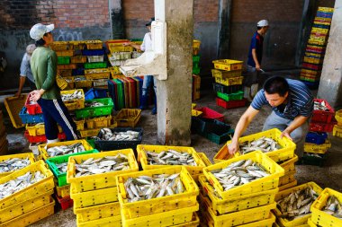 Long Hai, Vietnam - Aralık 29, 2014: Halk Günlük yaşam, Long Hai sahilde geleneksel balık pazarında balık sepeti balık bir sürü balıkçı köyü, Vung Tau, Vietnam