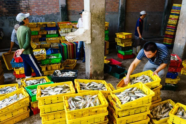 Long Hai, Vietnam - Dec 29, 2014: People's Daily life, fishing village with a lot of fishes in fishing basket at traditional fish market on the Long Hai beach, Vung Tau, Vietnam