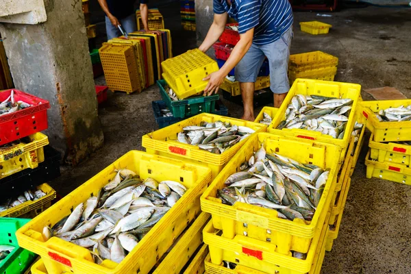 Long Hai, Vietnã - 29 de dezembro de 2014: Vida diária das pessoas, vila piscatória com um monte de peixes em cesta de pesca no mercado de peixe tradicional na praia de Long Hai, Vung Tau, Vietnã — Fotografia de Stock