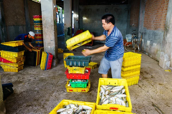 Long Hai, Vietnam - 29 de diciembre de 2014: People 's Daily life, pueblo pesquero con muchos peces en la cesta de la pesca en el mercado tradicional de pescado en la playa de Long Hai, Vung Tau, Vietnam — Foto de Stock