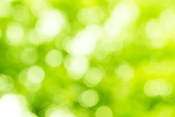 Brilho verde brilho desfocado raios luzes bokeh — Fotografia de Stock
