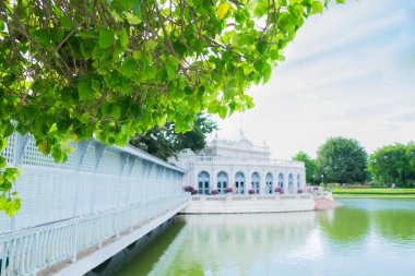 Klasik bina ağacıyla allık