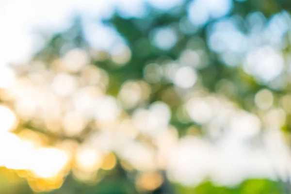 Doğal ray bokeh glitter