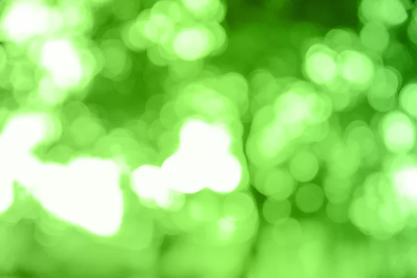 Rayon vert paillettes bokeh — Photo