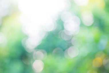 Defocused doğal ray bokeh glitter