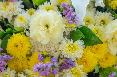 Durağındayım renkli sürü olacaksın kapatın