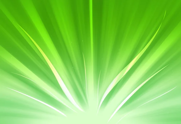 Strălucire verde strălucire lumini raze defocalizate — Fotografie, imagine de stoc