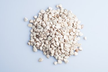 Beyaz arka plan üzerinde çim bezelye