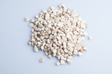 Beyaz arka plan üzerinde çim bezelye