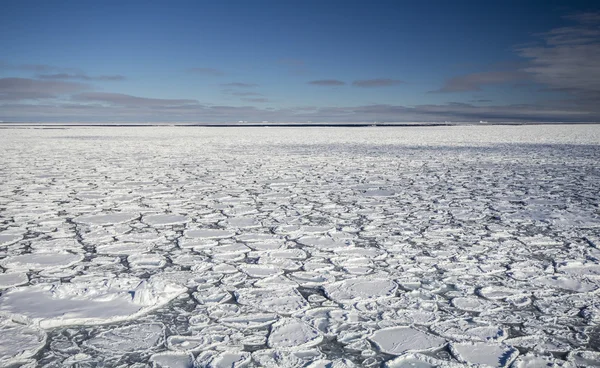 Naleśnik lodu na Oceanie południowym — Zdjęcie stockowe