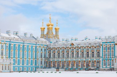 Saint-Petersburg Puşkin şehirdeki Catherine Palace