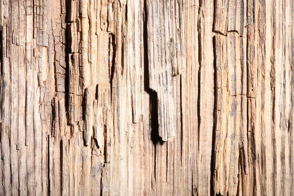 Textura de madeira podre velho. luz dura — Fotografia de Stock