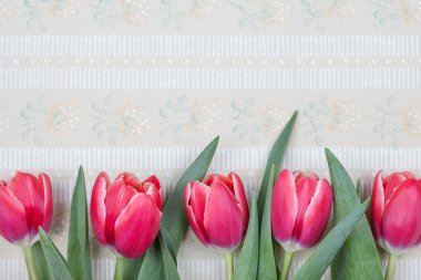 kırmızı lale vintage kartpostal