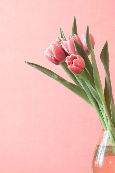 Buquê de flores em um vaso, espaço de cópia, cores pastel — Fotografia de Stock