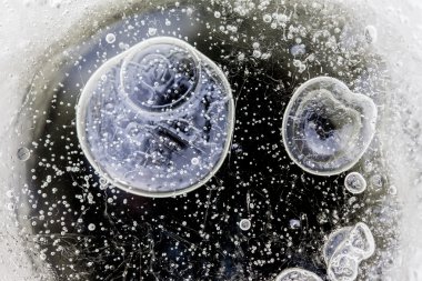 buz makro closeup içinde hava kabarcıkları