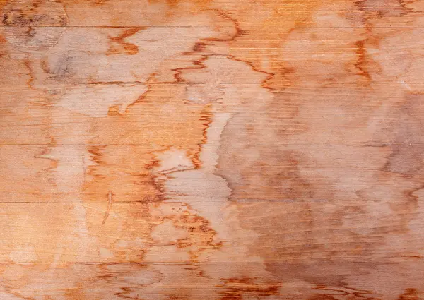 濡れた木板のグランジ テクスチャ — ストック写真
