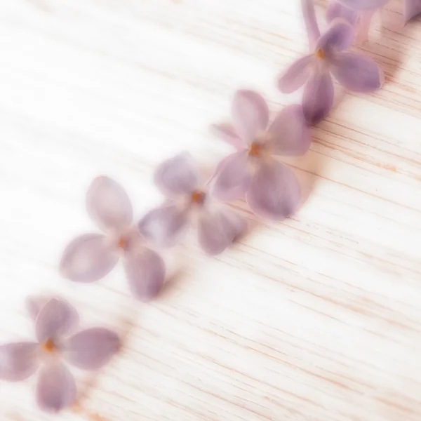 Square blurred photo of lilac petals on white wooden table — Stock Photo, Image