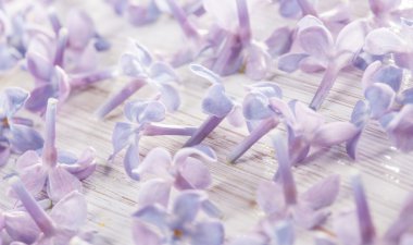 yaprakları beyaz tahta masada leylak