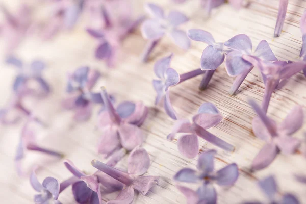 Lilac flowers on table in the morning light macro photo — Stock Photo, Image