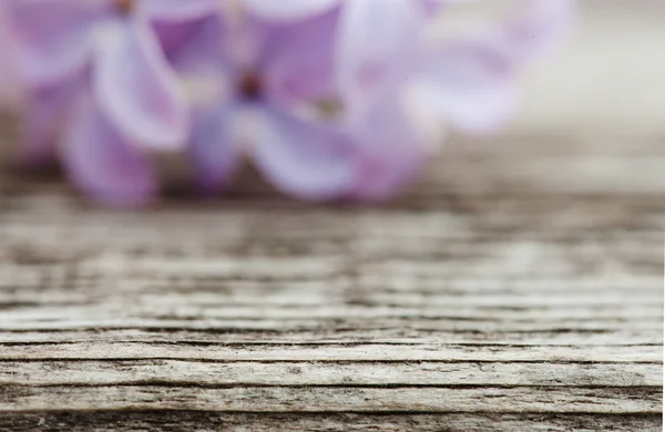 Lilac flowers on old dark wooden surface. focus in foreground — Stock Photo, Image