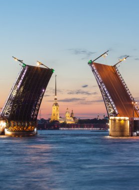 Palace Bridge, Peter Paul Katedrali. Beyaz geceler St-Petersburg, Rusya Federasyonu