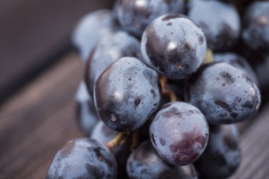 siyah üzüm yakın çekim