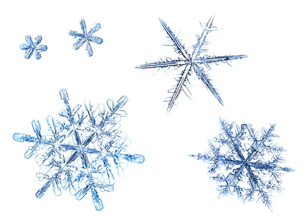 Набор природных снежинки изолированы на белом фоне Лицензионные Стоковые Фото